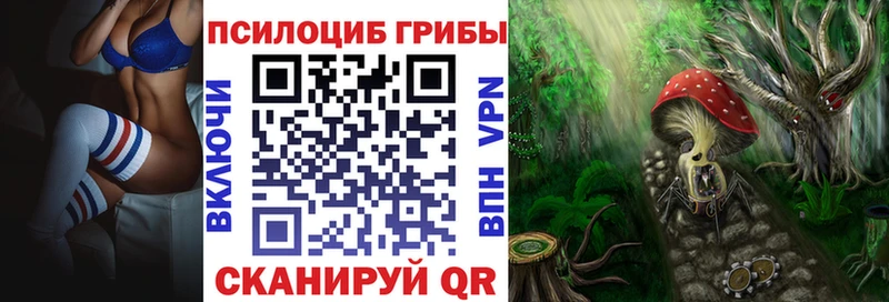 Псилоцибиновые грибы MAGIC MUSHROOMS  кракен вход  Лагань 